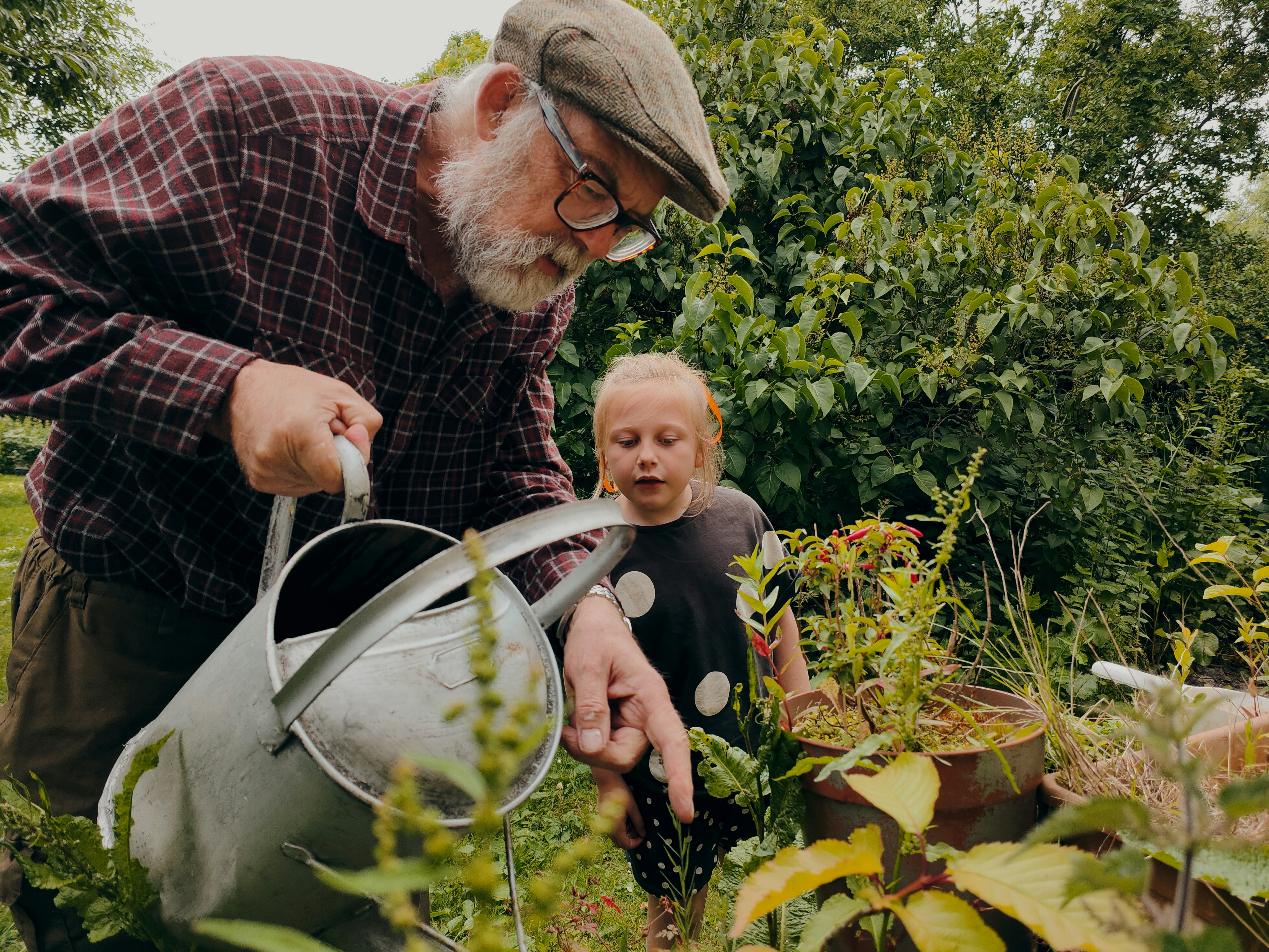 An older gardener sharing hands-on knowledge with a child